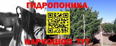 молекула духа Заводоуковск