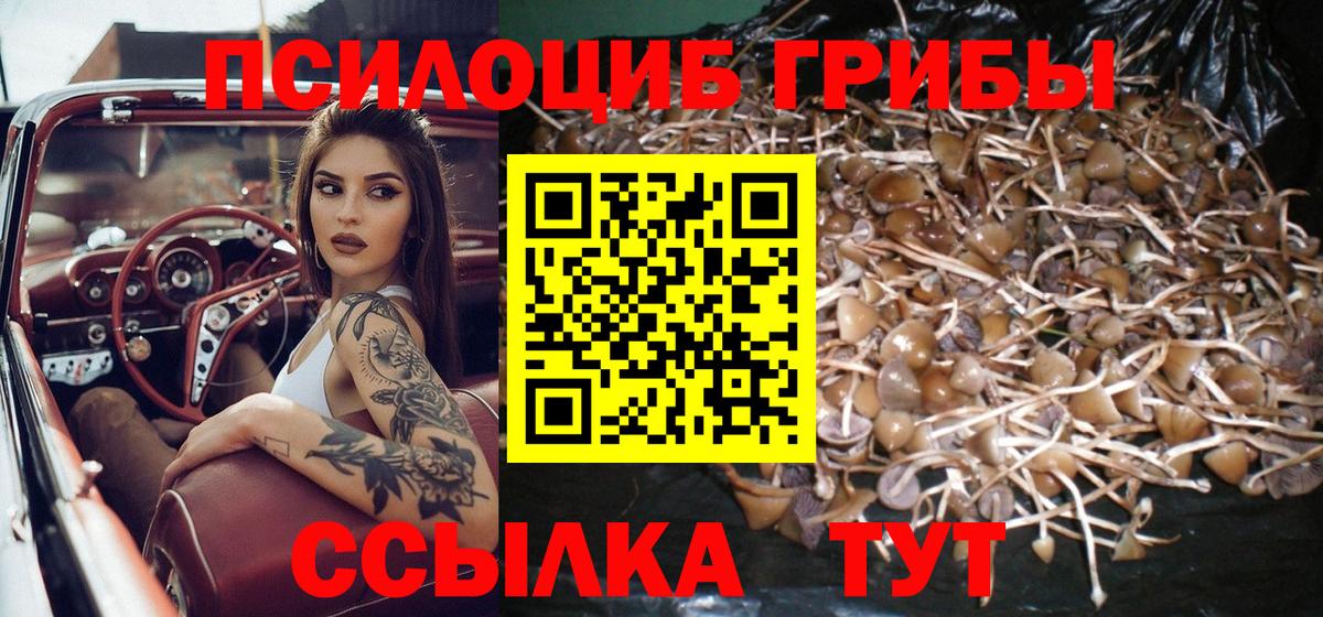 Псилоцибиновые грибы прущие грибы Луховицы