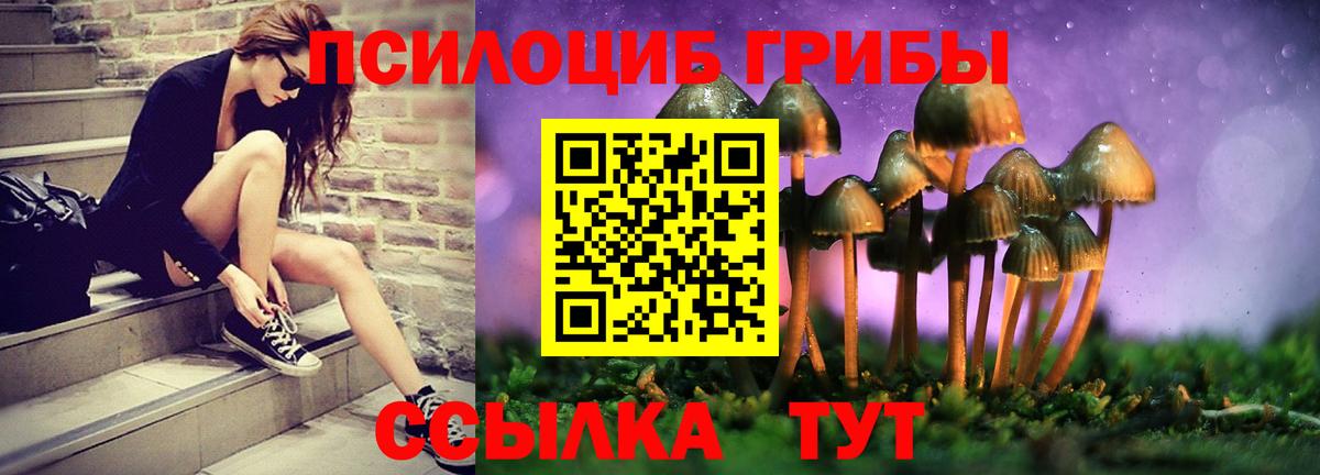 Галлюциногенные грибы Psilocybine cubensis  Вход с VPN  Псилоцибиновые грибы ЛСД  Луховицы 